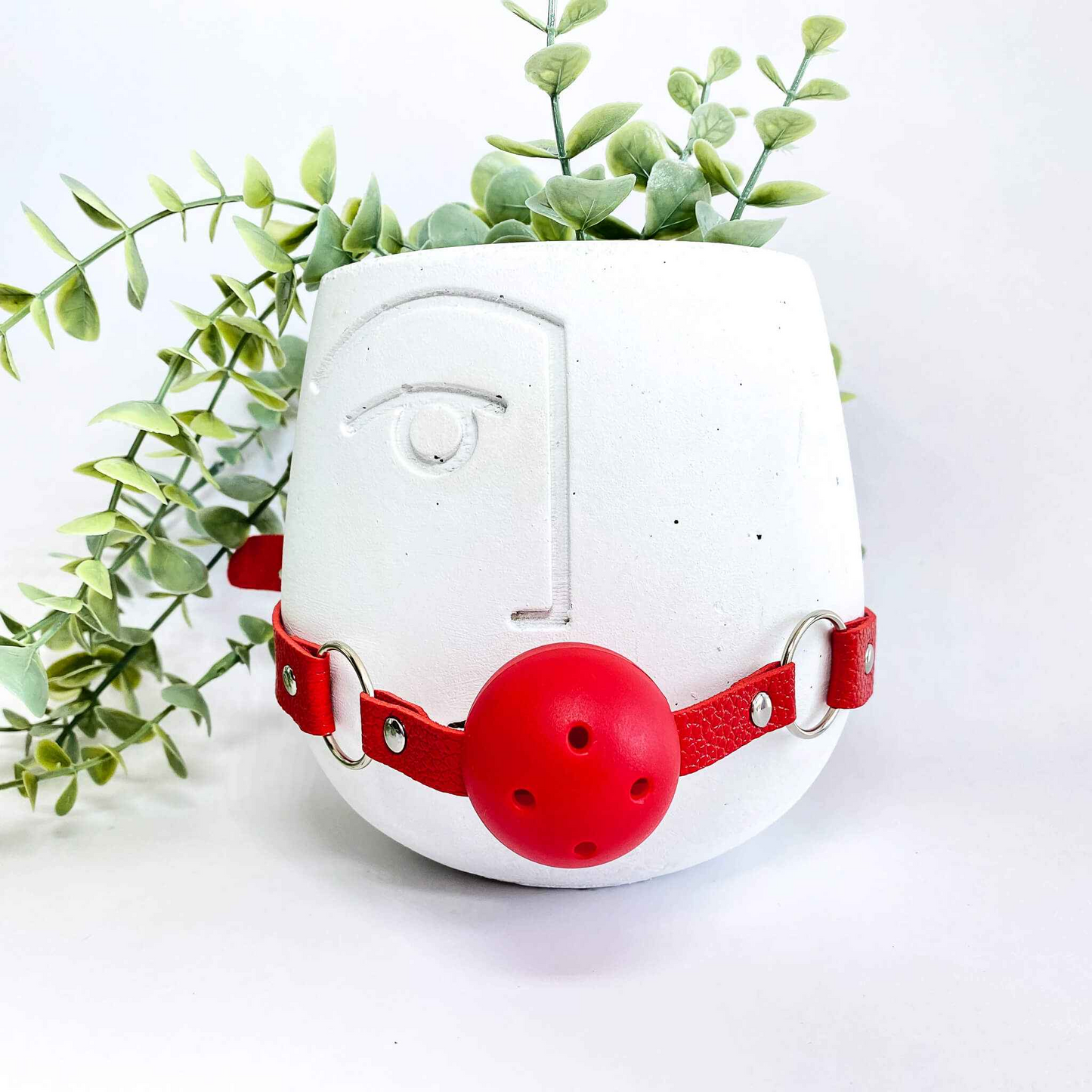 White planter with red ball and strap next to green leaves on a white background