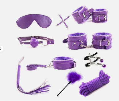 Purple restraining and支配 toys on a white background