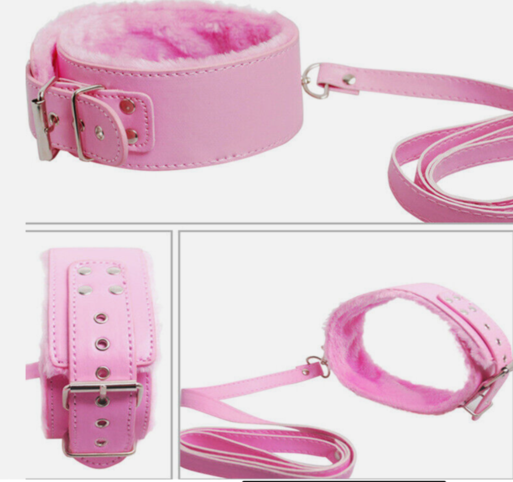 Collage of pink leather dog collar and leash with fluffy interior