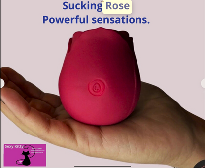 Pink silicone product held in a hand with 'Sucking Rose' text and 'Sexy Kitty' logo.