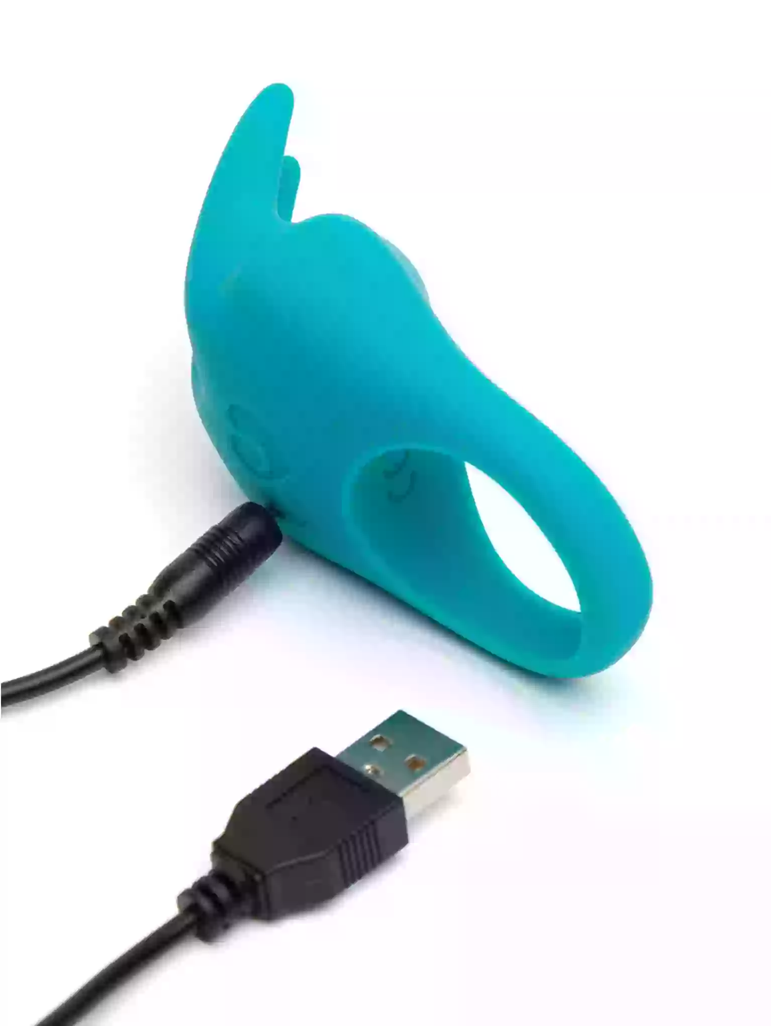 Turquoise dog training device with USB cable on a white background