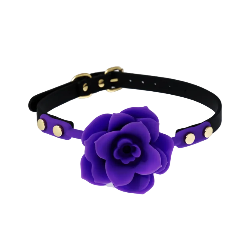 Black leather collar with a purple flower on a white background