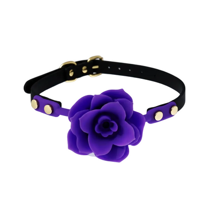 Black leather collar with a purple flower on a white background