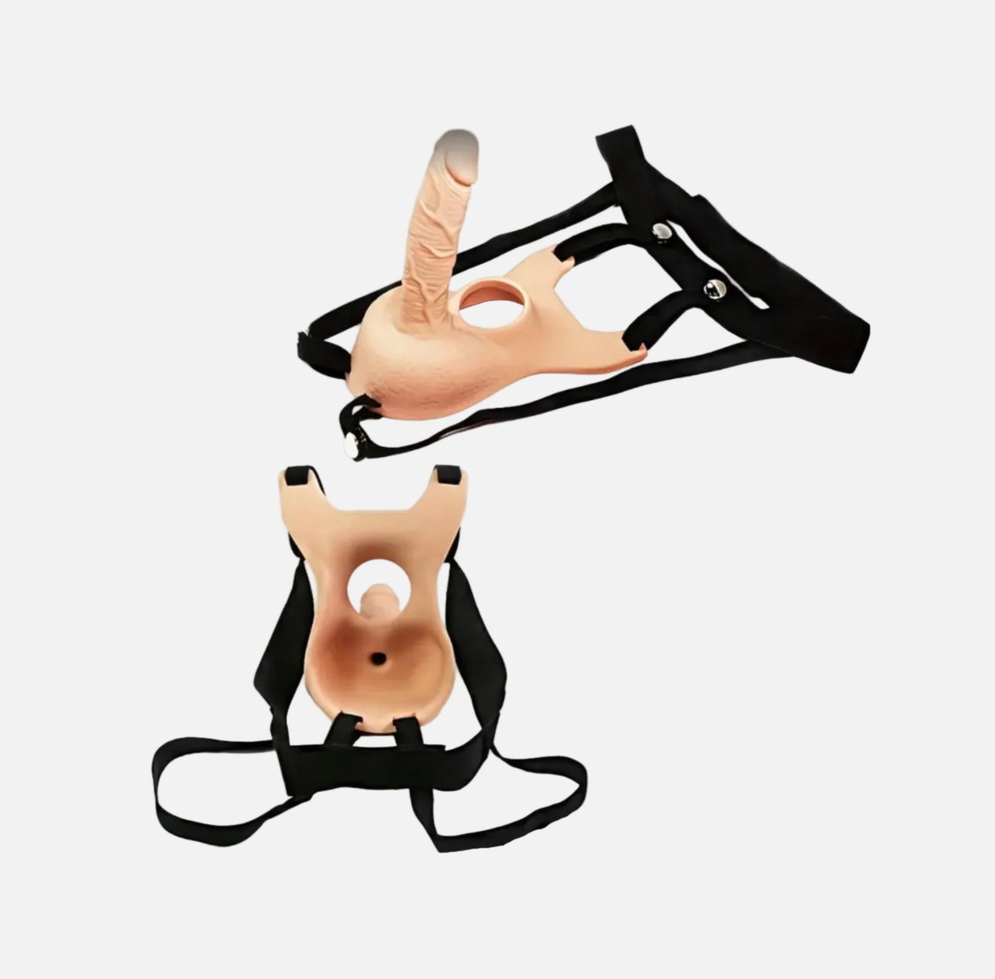 Two anatomical models of a pelvis and a ribcage on a white background