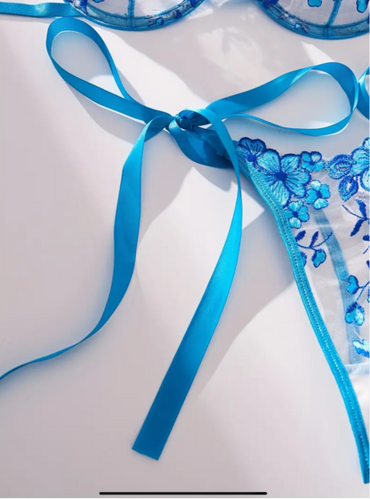 Blue embroidered lingerie with a ribbon on a white background