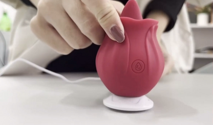 Person holding a pink silicone product with a white base on a light surface.
