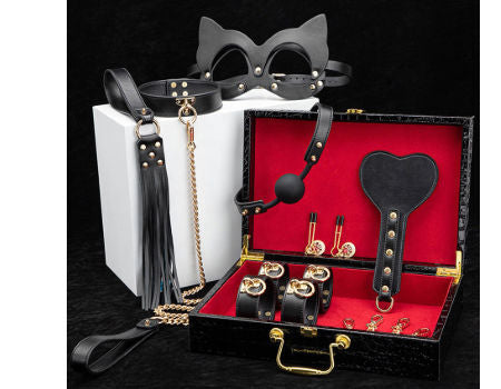 Sexualrestraints.com product set including a mask, choker, and other accessories in a decorative box.