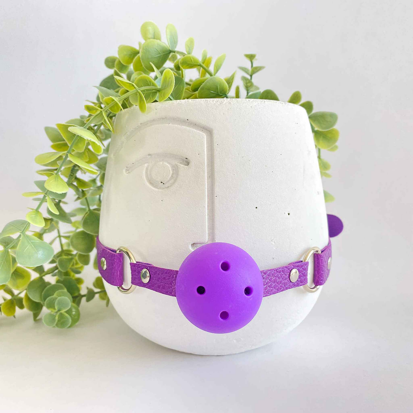 White pet muzzle with purple ball and straps on a white background