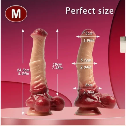 Two cylindrical objects with measurements indicated on a pink background